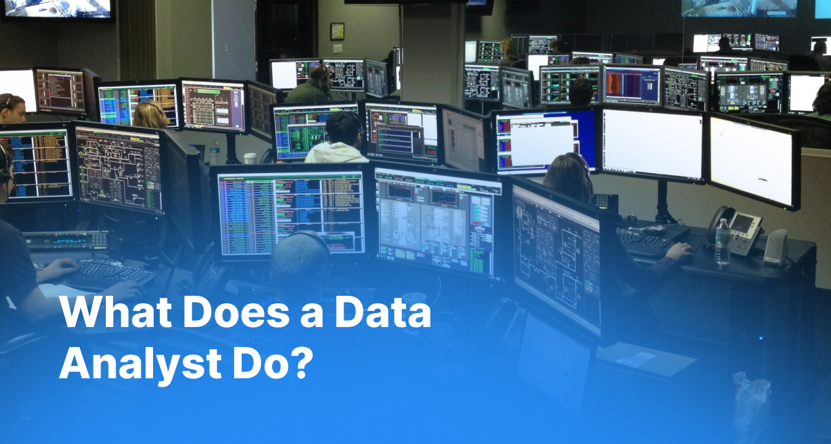 What Does a Data Analyst Do