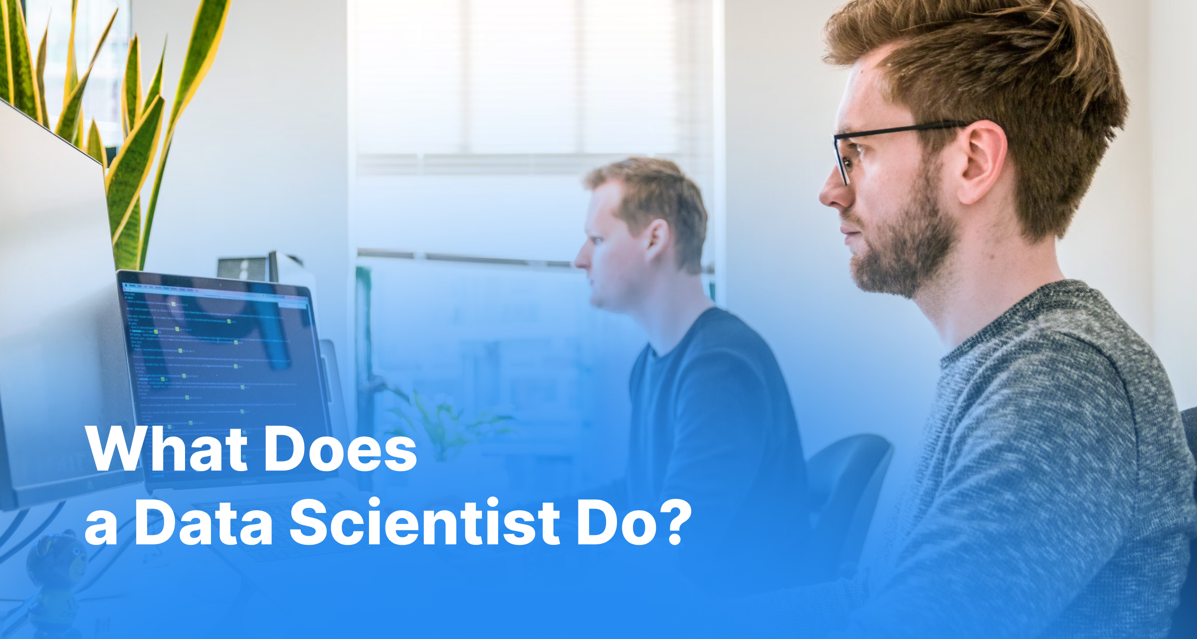 what does a data scientist do