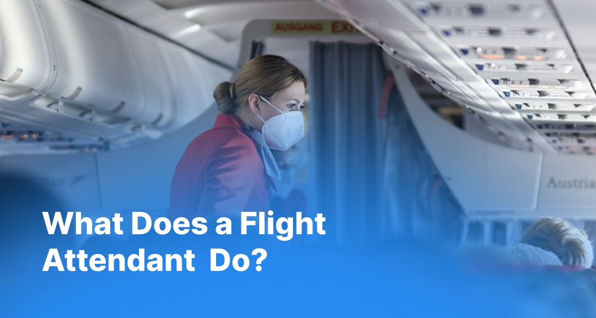 What Does a Flight Attendant Do