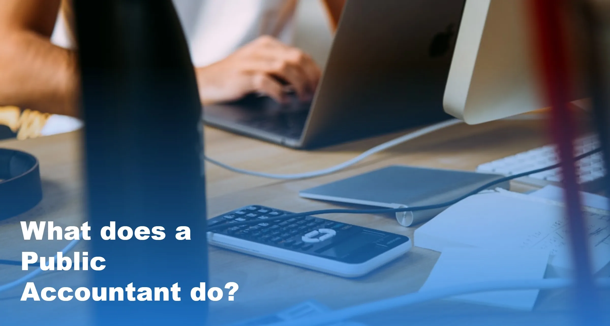 What Does a Public Accountant Do
