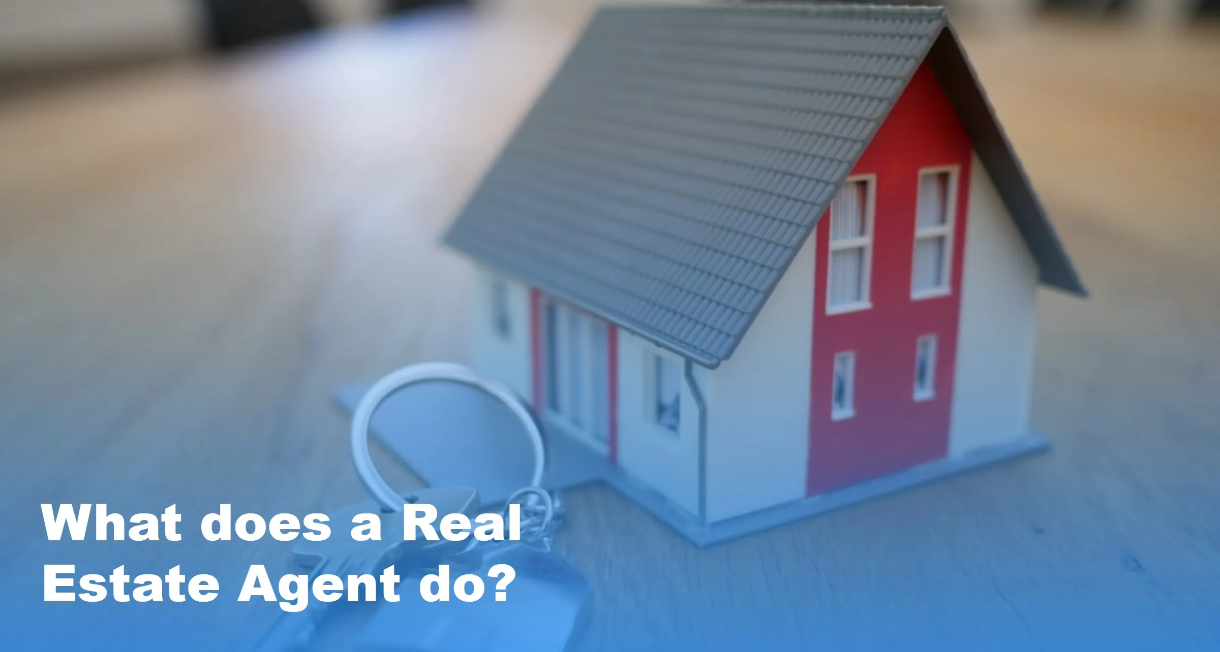 What Does a Real Estate Agent Do